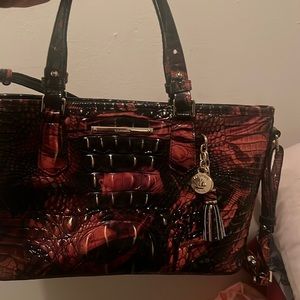 Brahmin great condition